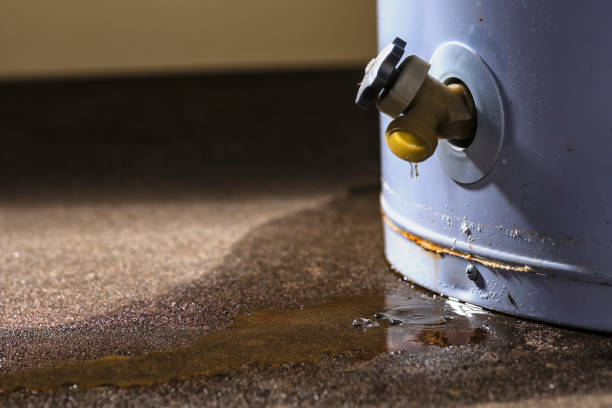 Best Water damage restoration services  in Lake Delta, NY