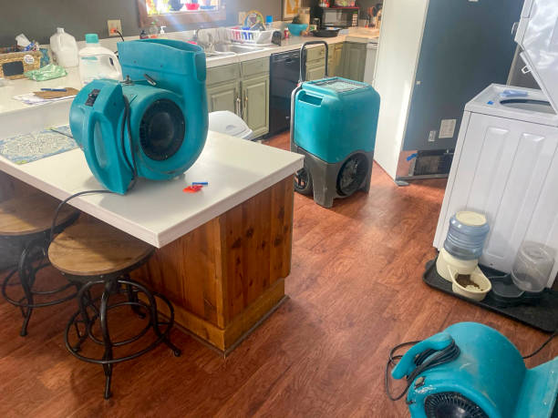 Best Water damage cleanup near me  in Lake Delta, NY