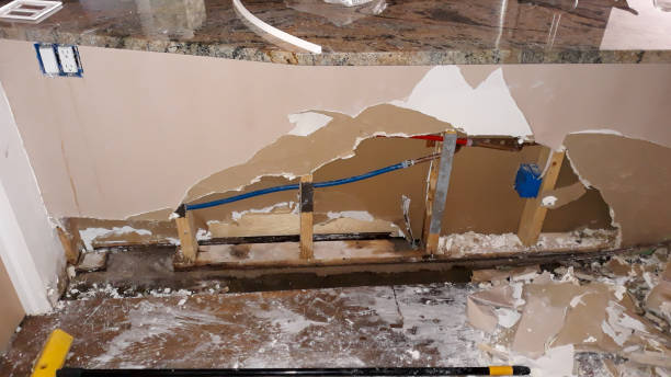 Best Flood damage cleanup  in Lake Delta, NY