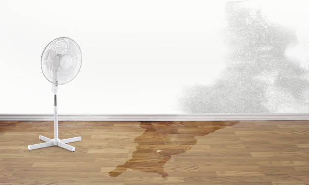 Best Flood restoration services  in Lake Delta, NY