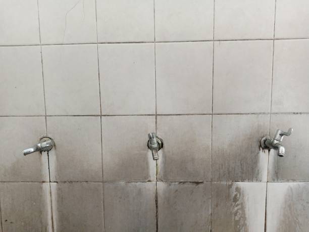 Best Professional water damage repair  in Lake Delta, NY